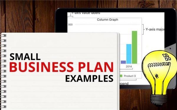 a small business plans should be written by quizlet
