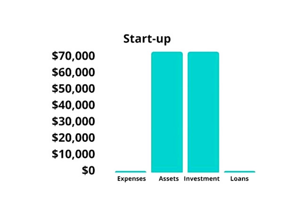 Startup Summary