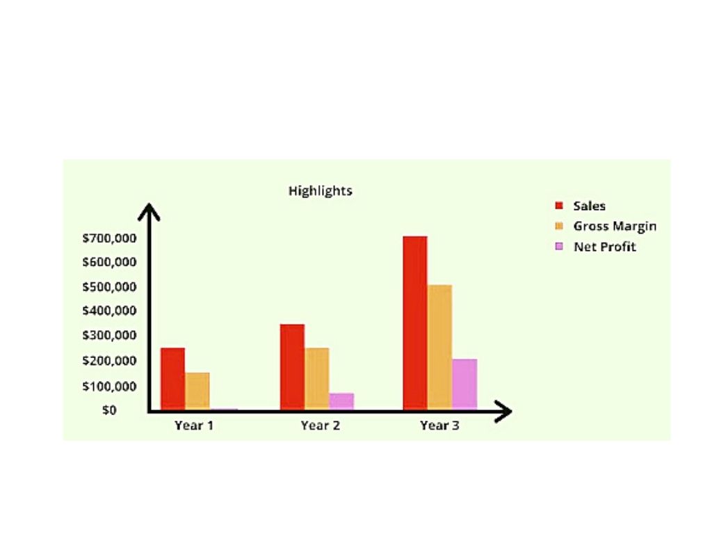 market size and trends in business plan example