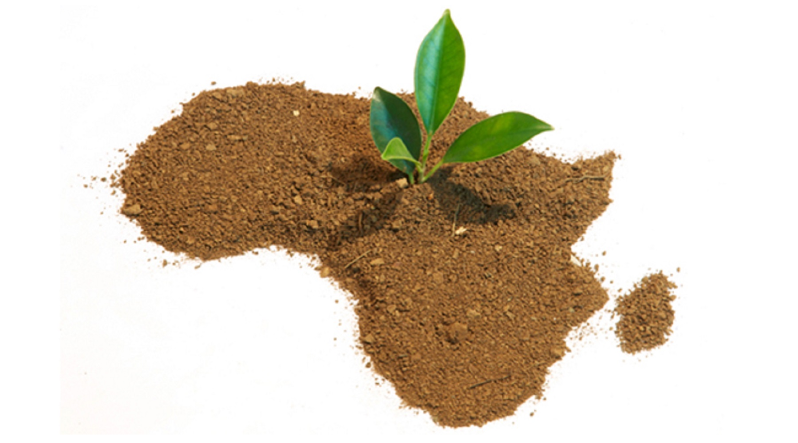 How are Start-up ecosystem in Africa Faring?