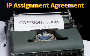 ip assignment agreement, Intellectual property assignment agreement pdf, ip assignment agreement template, Founder ip assignment agreement, ip assignment agreement india