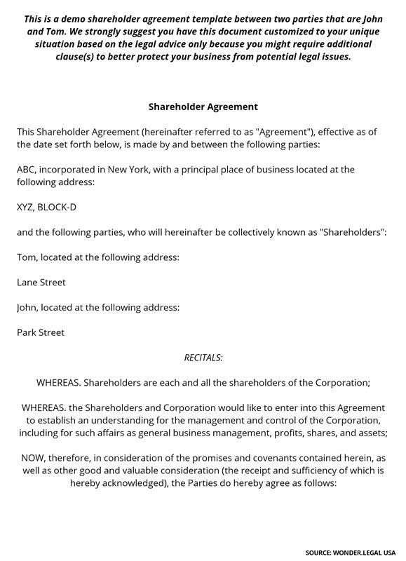 Shareholder Agreement Template-1