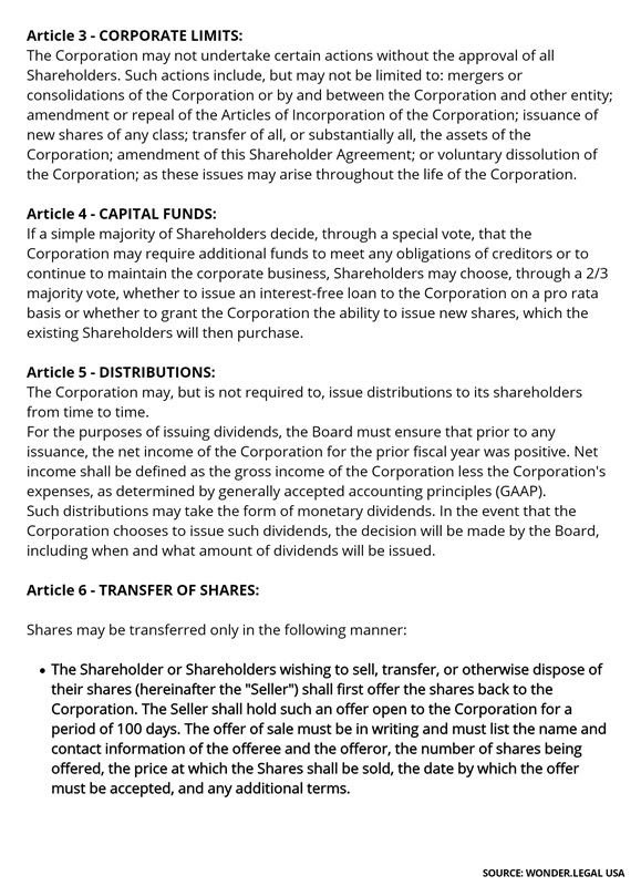 Shareholder Agreement Template-4