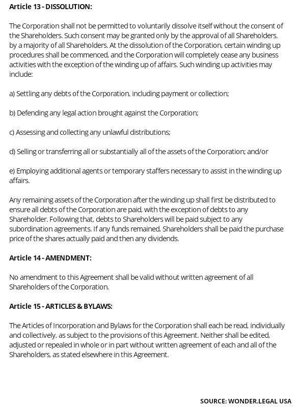 Shareholder Agreement Template article 13