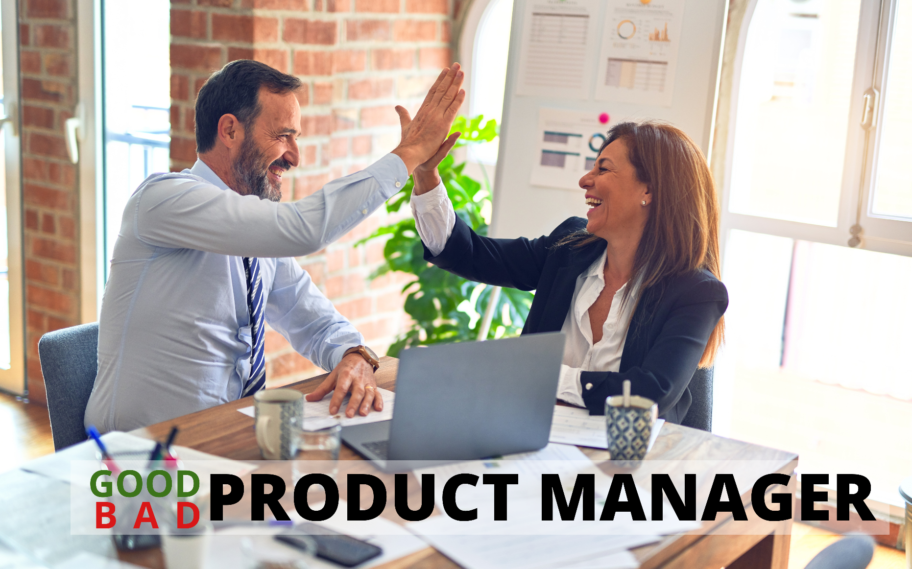 good product manager bad product manager, signs of a bad product manager, product manager strengths and weaknesses, good product manager bad product manager ben horowitz, good product manager bad product manager book