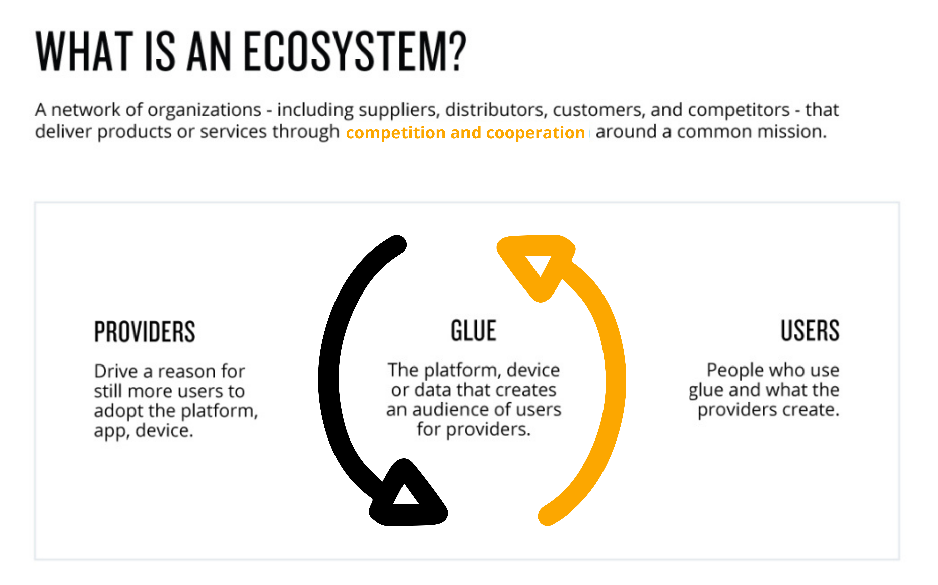 What is an Ecosystem?