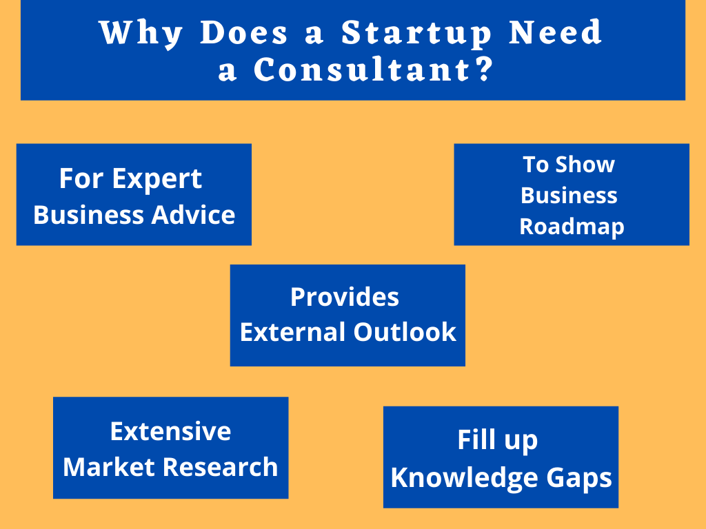 Why Does a Startup Need a Consultant?