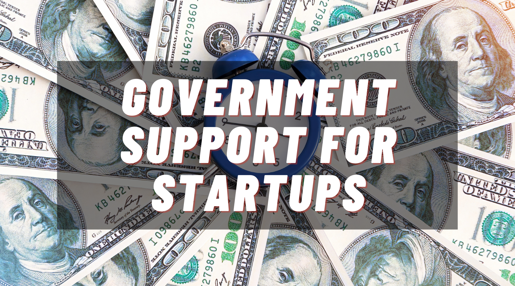 Government Support for Startups: Know The Ways to Help Your Business