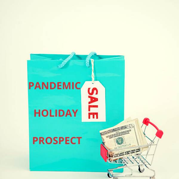 What Prospects Does The Pandemic Holiday Sale Hold For Businesses?